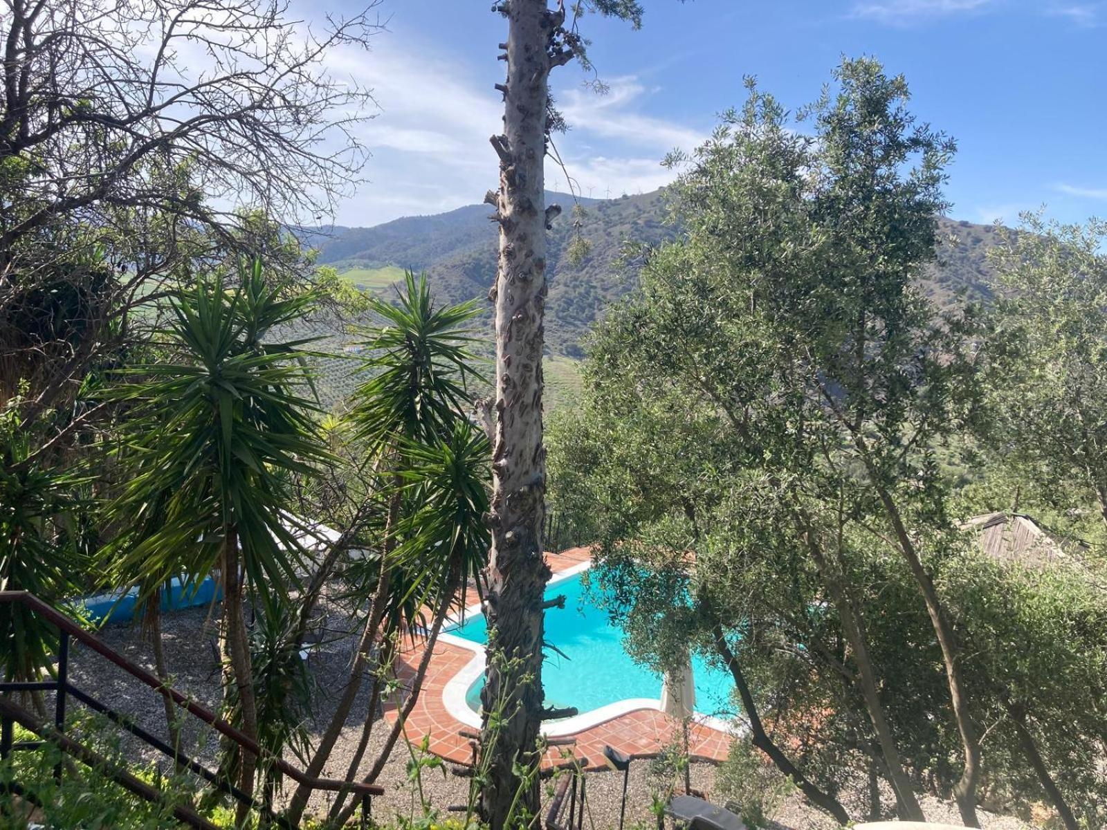 Casa Del Sueno Bed & Breakfast อะโลรา ภายนอก รูปภาพ